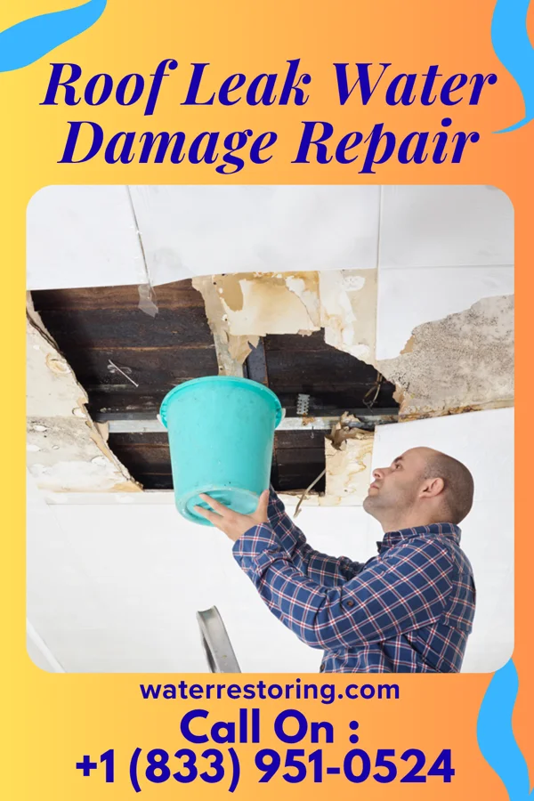 Roof Leak Water Damage Repair in Pigeon Falls, WI