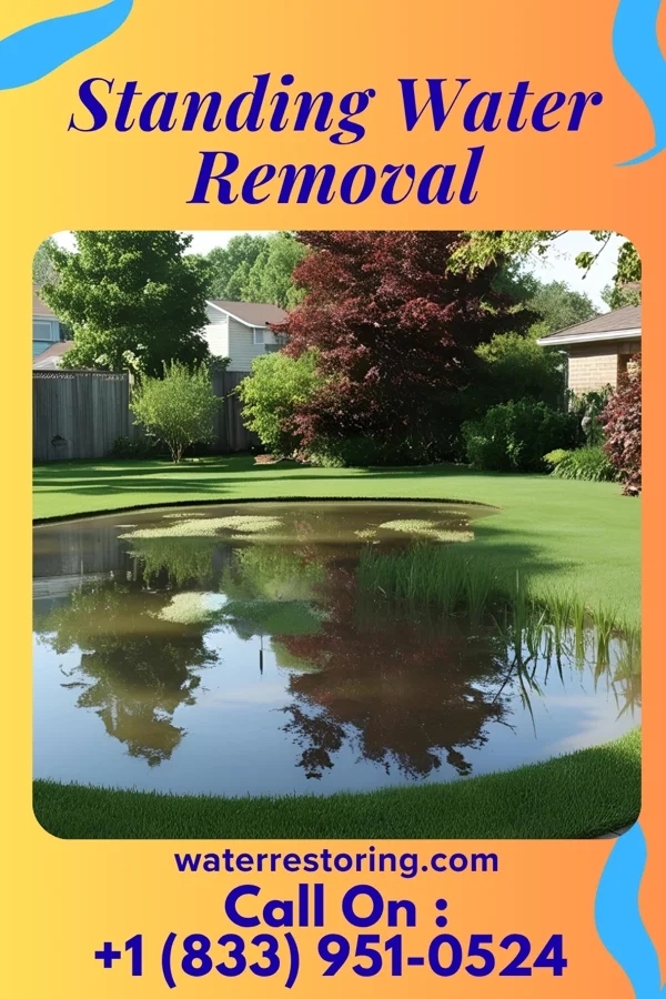 Standing Water Removal in Pigeon Falls, WI